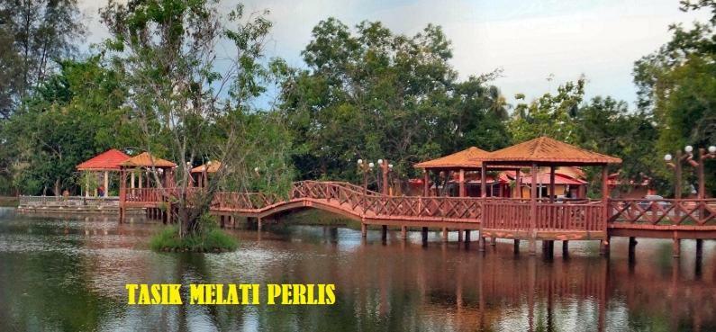 Syed Homestay Arau Luaran gambar